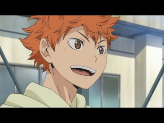 volleyball episode 14 / haikyuu / haikyuu (kaon)